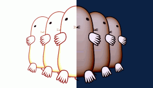 タネマキの税務相談会
