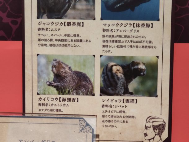 あんがい悪くない獣臭