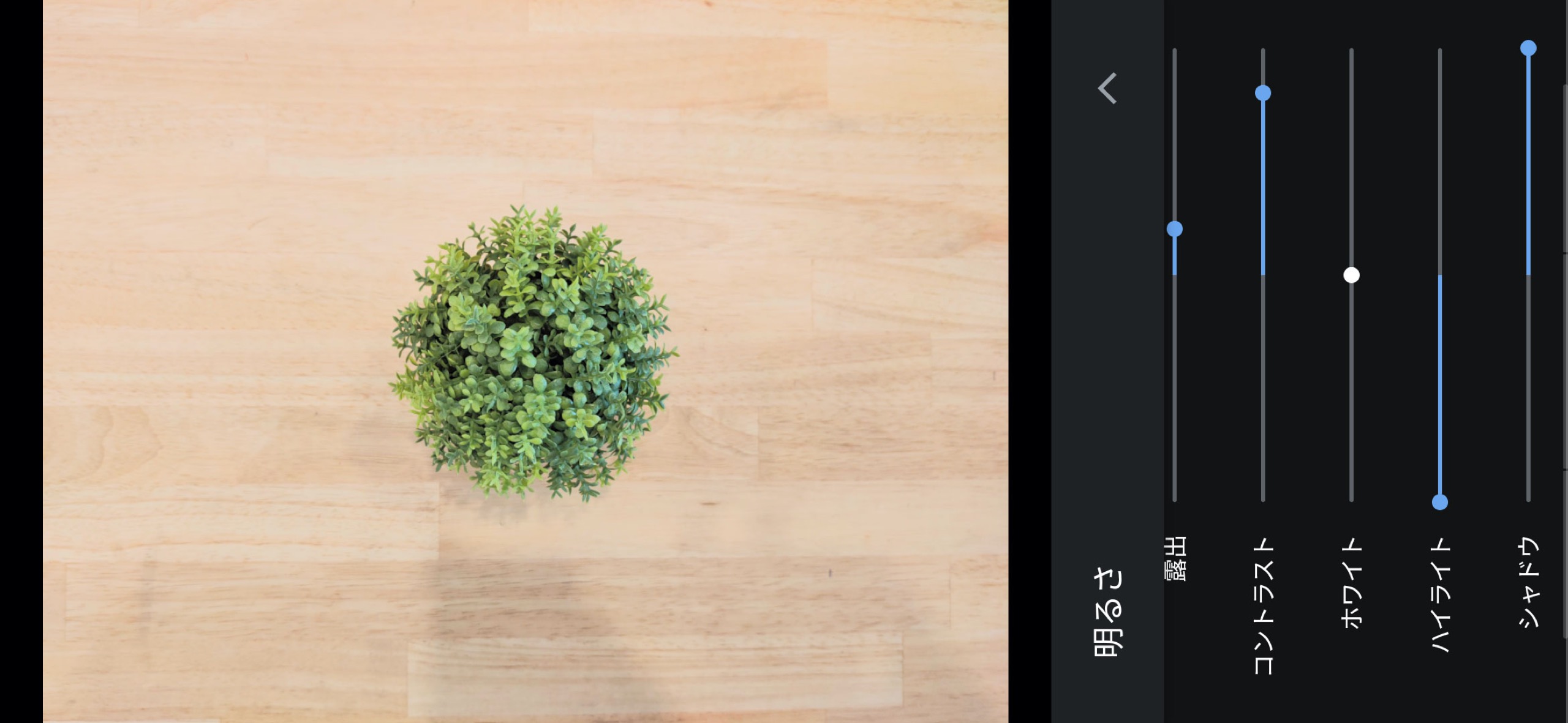 Google フォト