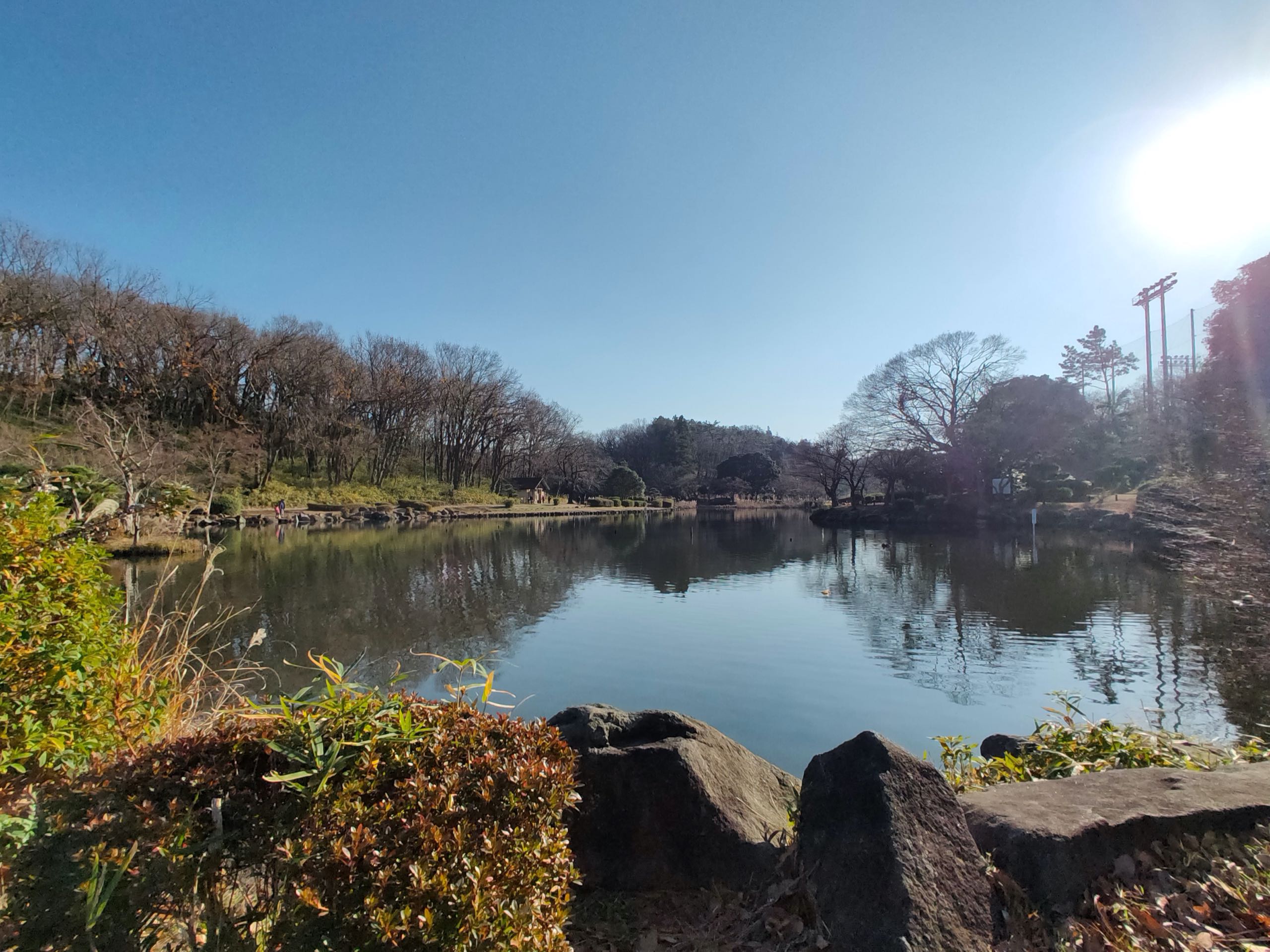 こども自然公園